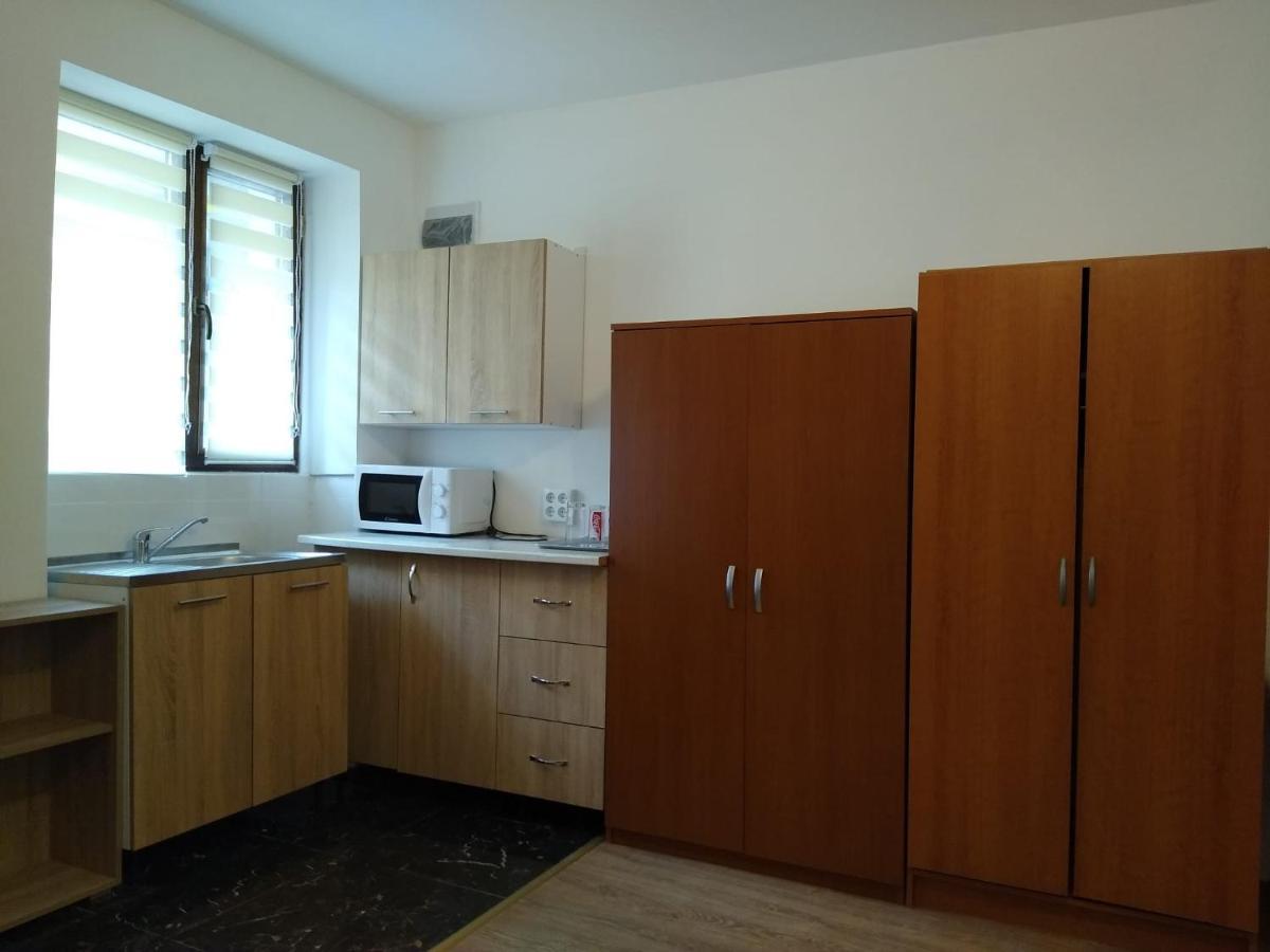 Garsoniera In Centru Apartment คลูจ-นาโปกา ภายนอก รูปภาพ